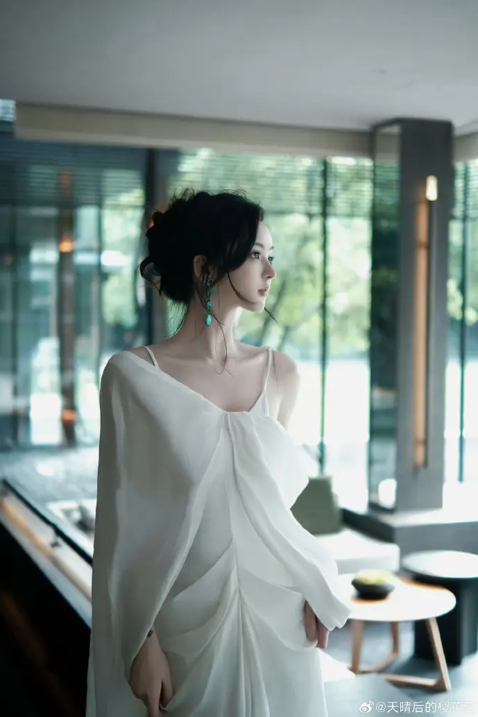 暗网幸存者下载工具界面示意图